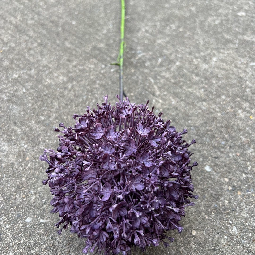 Artificial Large Allium Ball Stem - Image 5