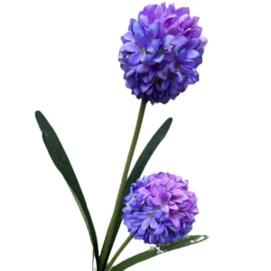 2-Head French Allium Ball Stem