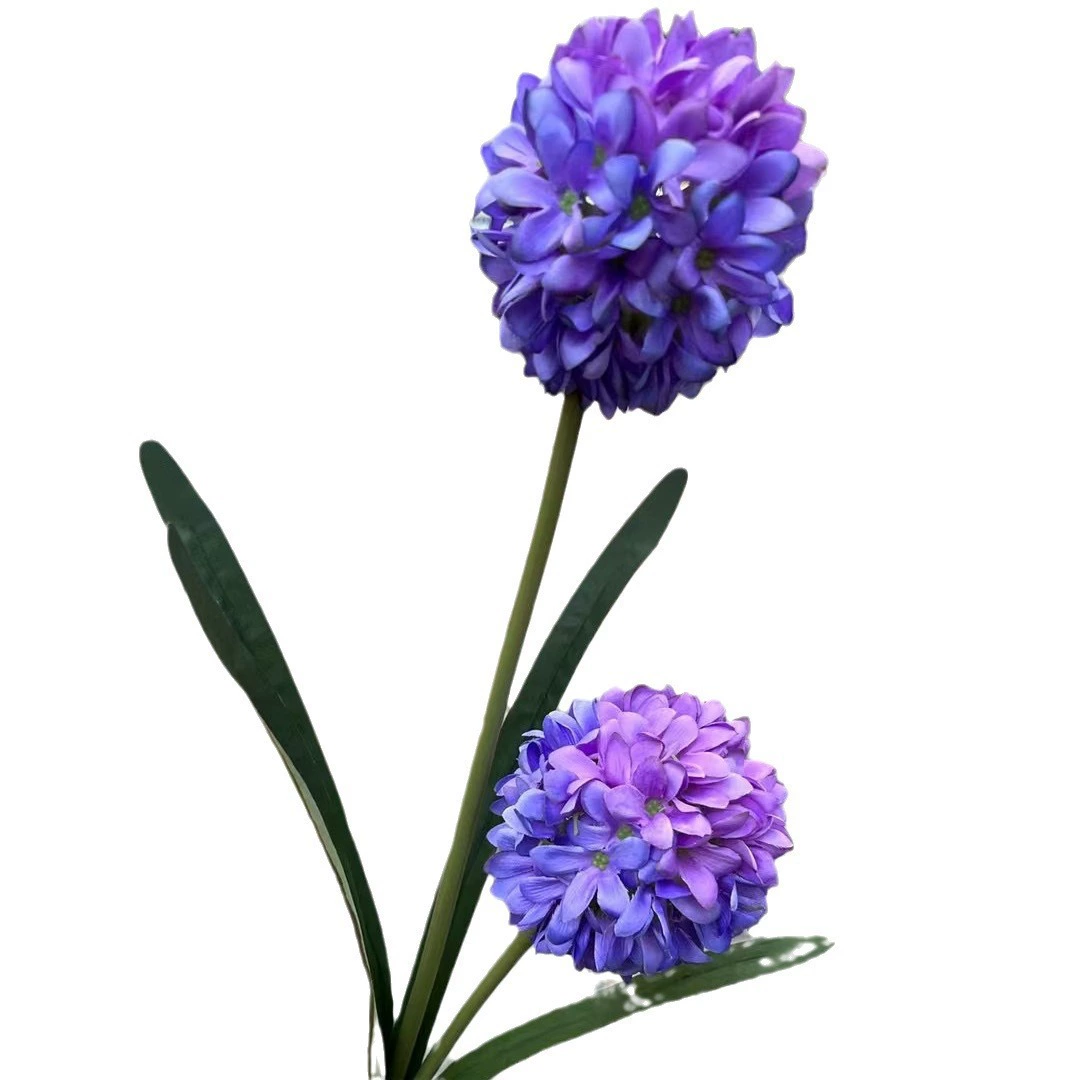 2-Head French Allium Ball Stem