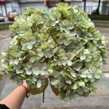 Artificial Preserved-Look Hydrangea Bouquet