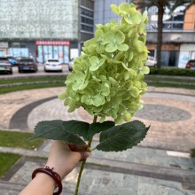 Soft-Touch Artificial Pagoda Hydrangea Stem