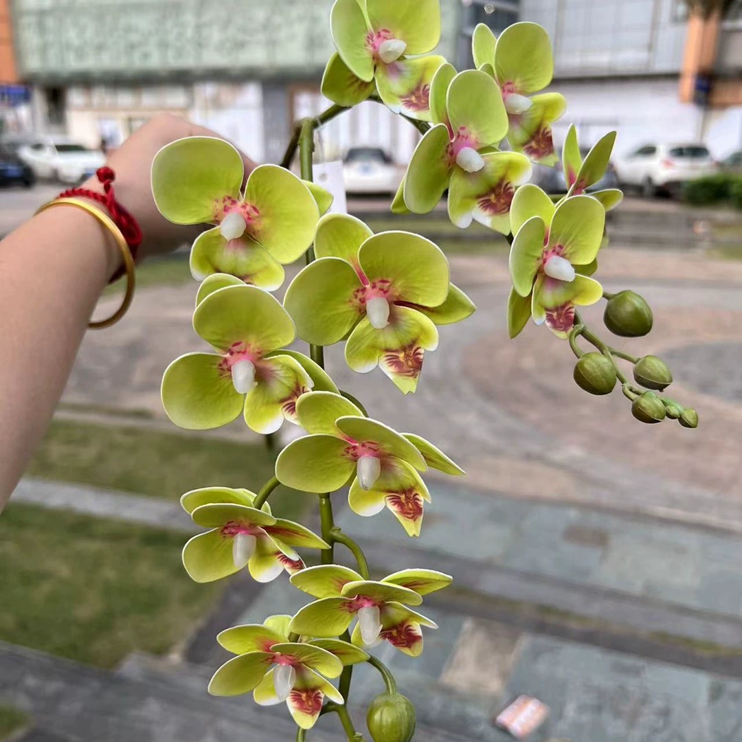2-Branch 3D Artificial Phalaenopsis Orchid Stem