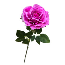 Soft-Touch Artificial French Tea Rose Stem